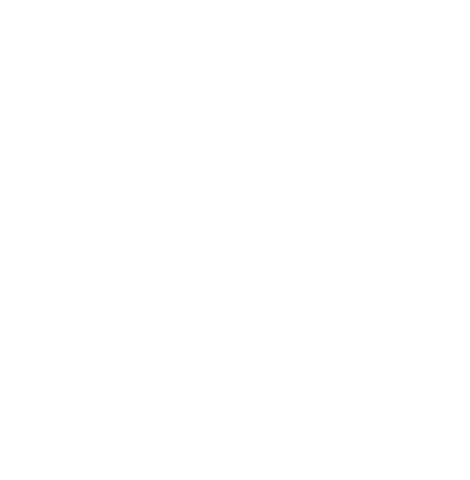 The Bowl - Vietnamese Cuisine