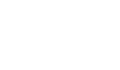 The Flyin Pig